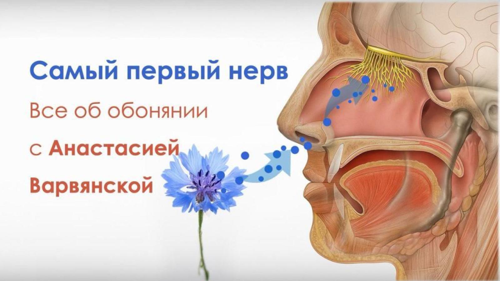 Вебинар «В помощь практическому врачу. Поствирусные нарушения обоняния: скрининг и реабилитация»